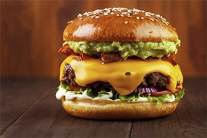 HAMBURGUER-1-01