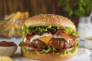 HAMBURGUER-2-01