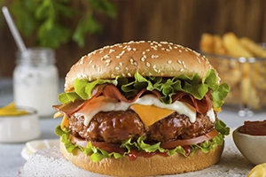 HAMBURGUER-2-02