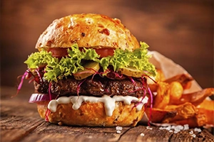 HAMBURGUER-3-01