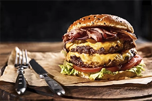 HAMBURGUER-5-01